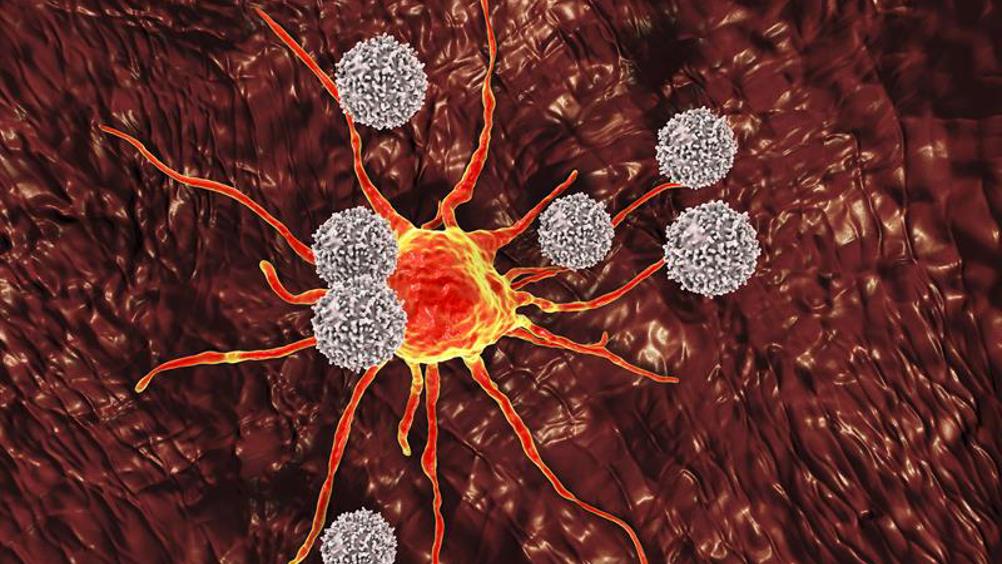 The body's civil war: Understanding autoimmune conditions